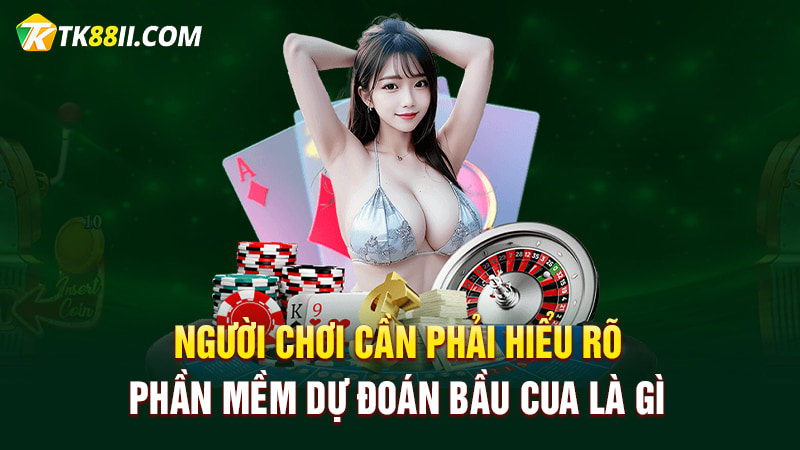 Người chơi cần phải hiểu rõ phần mềm dự đoán Bầu cua là gì